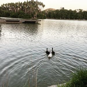 Meet your Posher, Lidia